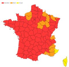 BEAU TEMPS : RETOUR DES POLLENS